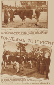 873268 Collage van 2 foto's betreffende de 'fokveedag', op het veemarktterrein aan de Croeselaan te Utrecht.